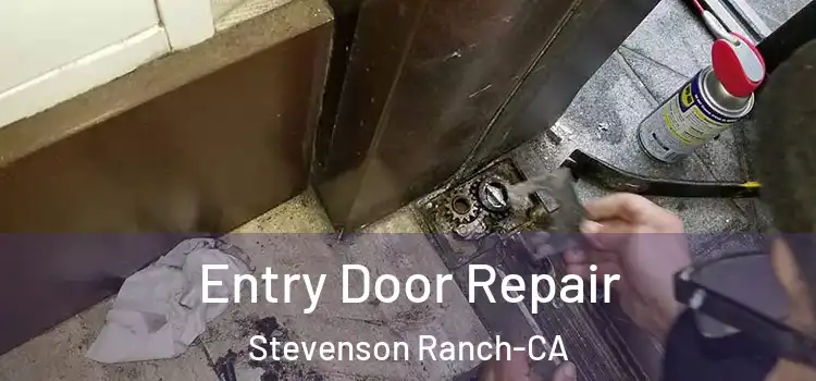  Entry Door Repair Stevenson Ranch-CA