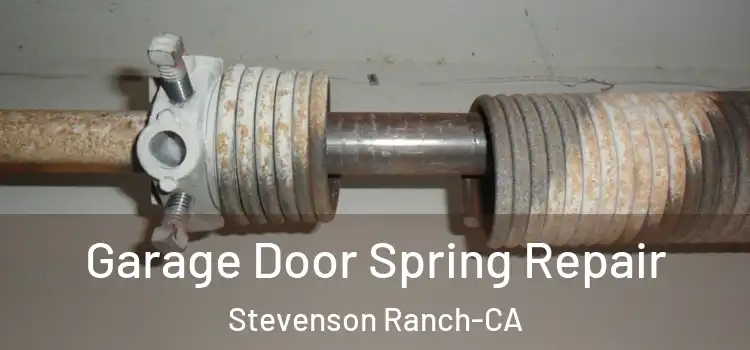  Garage Door Spring Repair Stevenson Ranch-CA