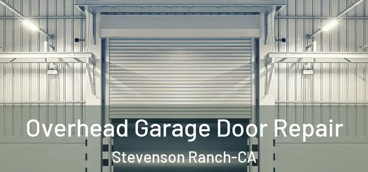  Overhead Garage Door Repair Stevenson Ranch-CA