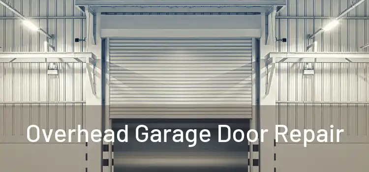 Overhead Garage Door Repair